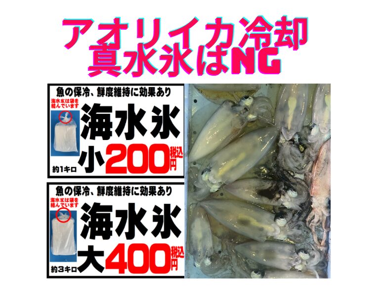 アオリイカ冷却は真水氷はタブー。海水氷で冷やせば旨さ倍増。釣太郎