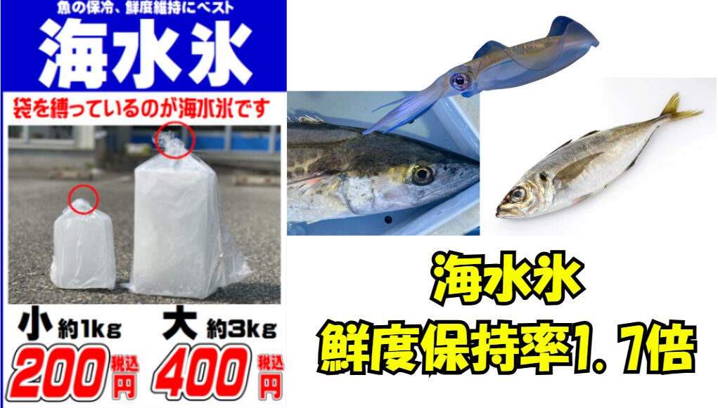 【数値が証明】鮮度保持率1.7倍!なぜ海水氷は釣った魚を劇的に旨くする。釣太郎
