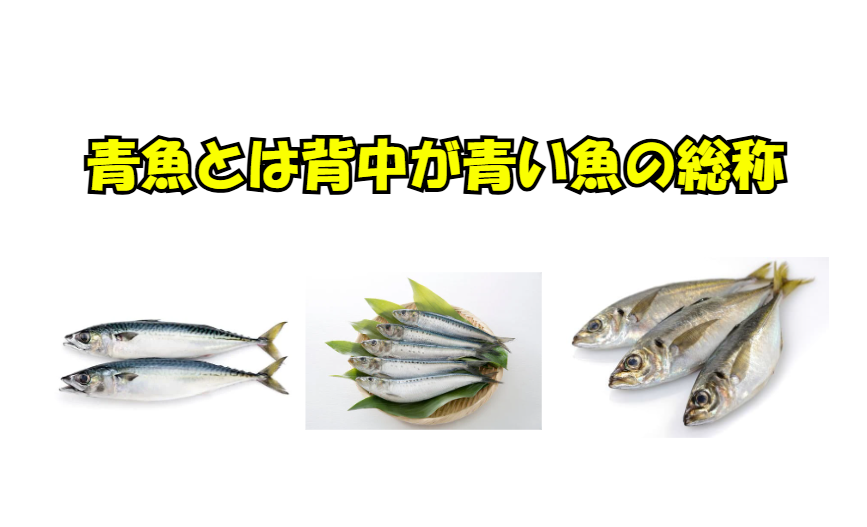 青魚とは、背中が青い魚の総称で、自然界で身を守るための保護色。 常に泳ぎ回る回遊魚が多く、筋肉は赤身で脂肪量が多いのが特徴。釣太郎