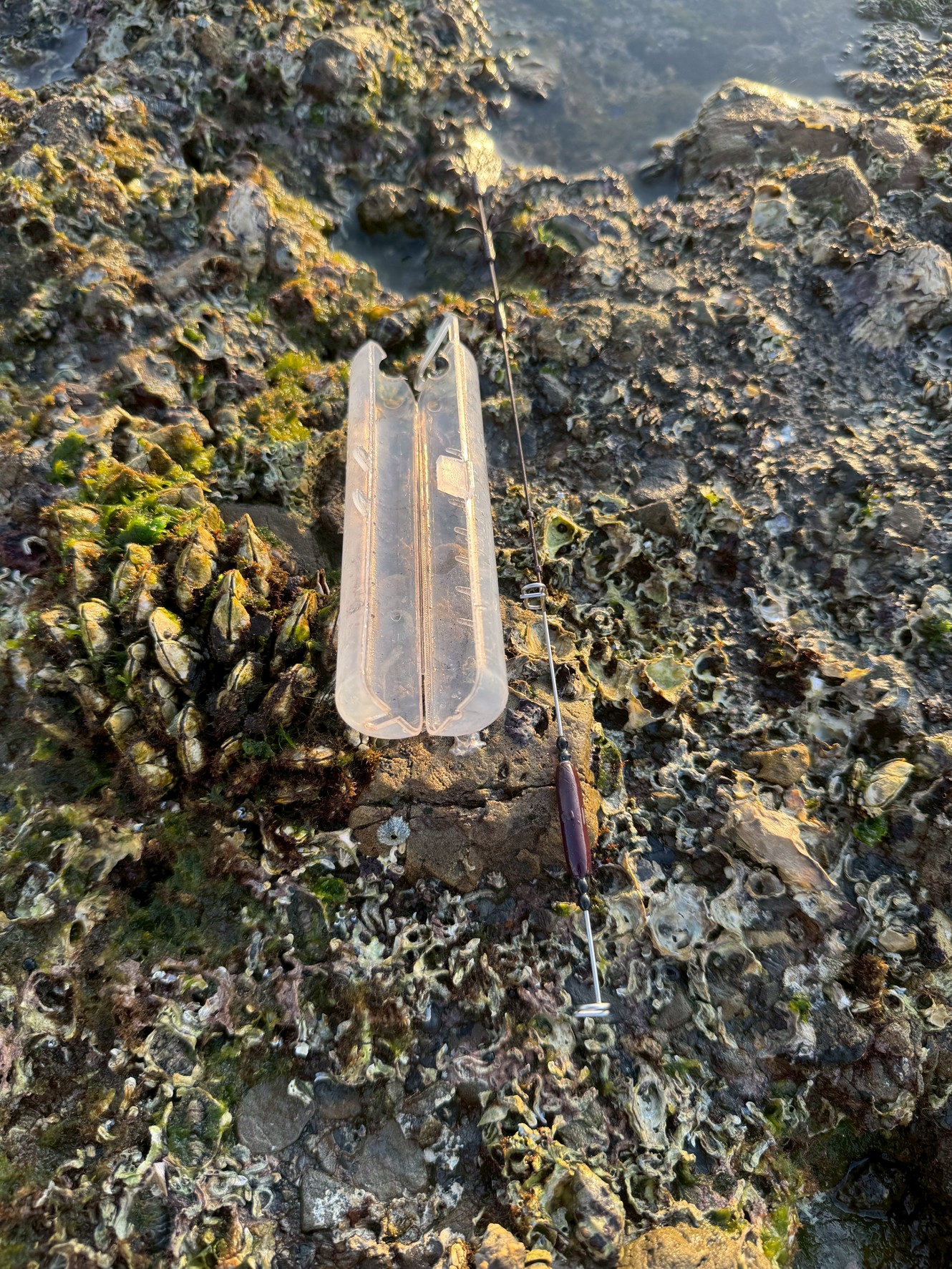 ヤエン紛失の多くはアオリイカとの駆け引きではなく「見失い」 ・磯や砂浜では置いた場所がわからなくなりやすい・ヤエンケースを使えば紛失リスクは激減。釣太郎