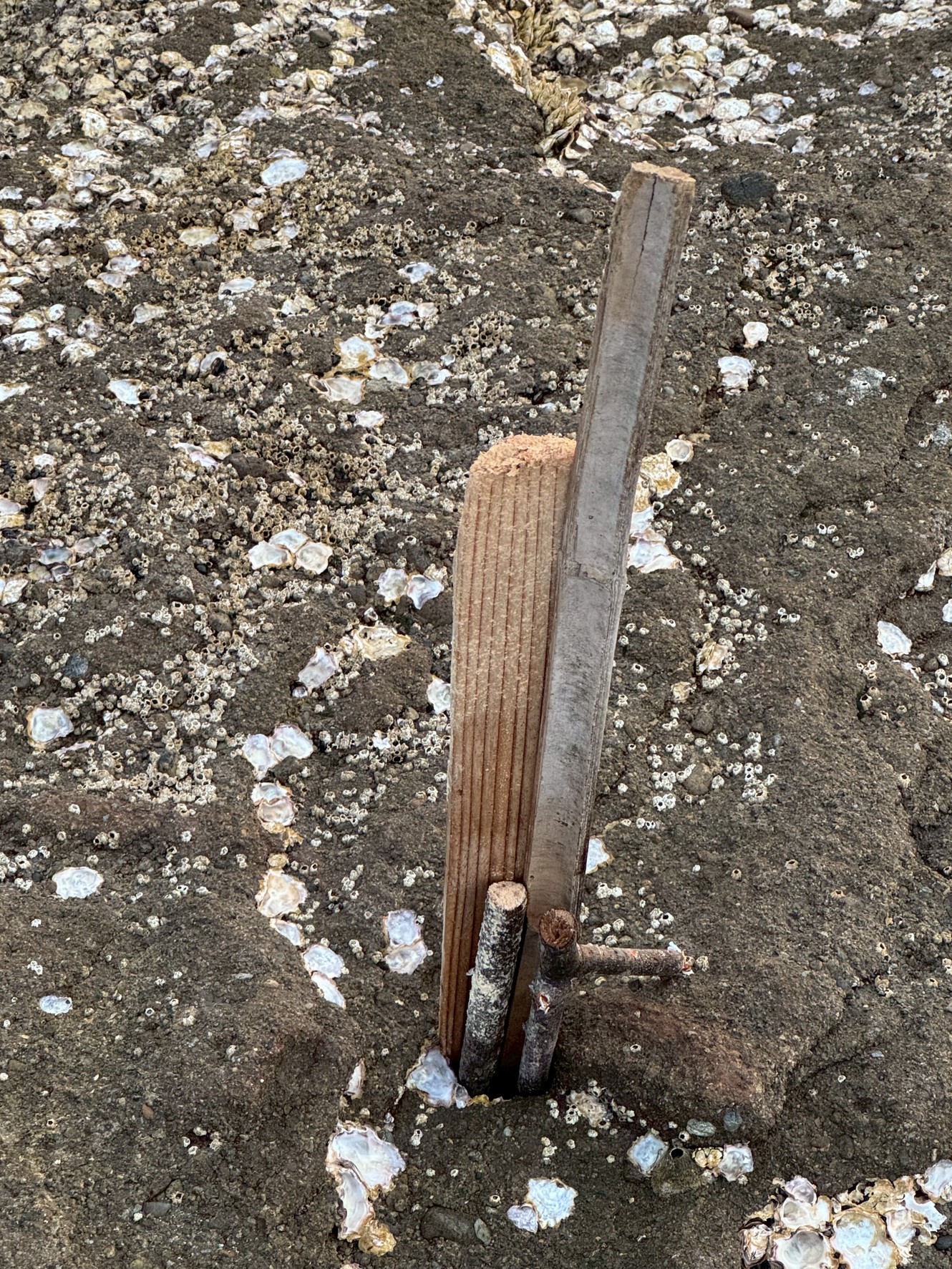 地元釣り人の知恵!100円もかけずに作る究極の竿立て|節約と工夫で楽しむ釣りライフ。釣太郎