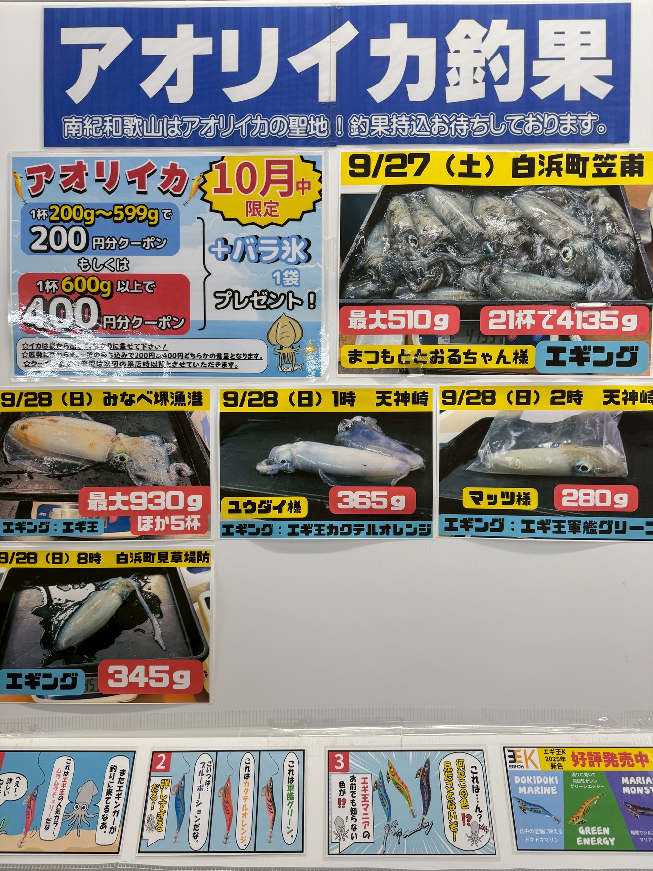 アオリイカ釣ったら、お気軽持ち込みください。釣太郎