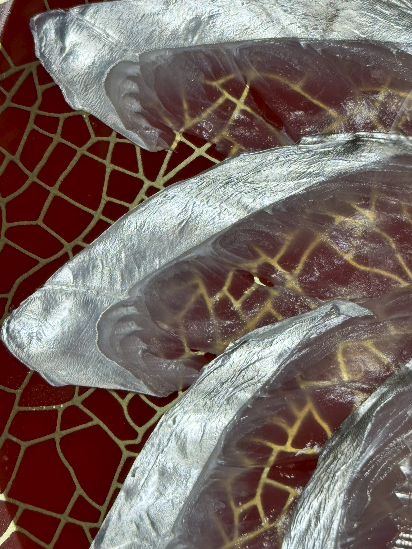 タチウオの薄造りとは?煮つけ・塩焼き・瀬越と並ぶ絶品料理法を解説。釣太郎