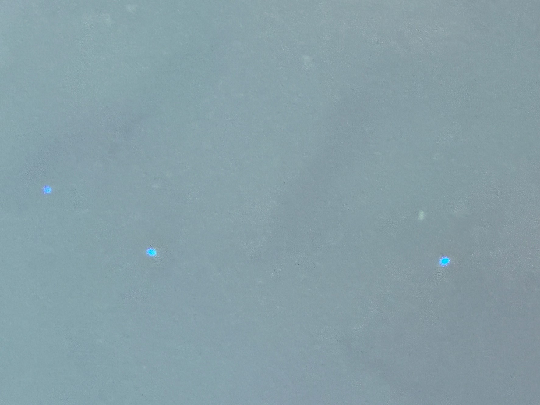 ウミホタルの発光は、化学反応による生物発光の一例であり、自然界の神秘を感じさせる現象です。釣太郎