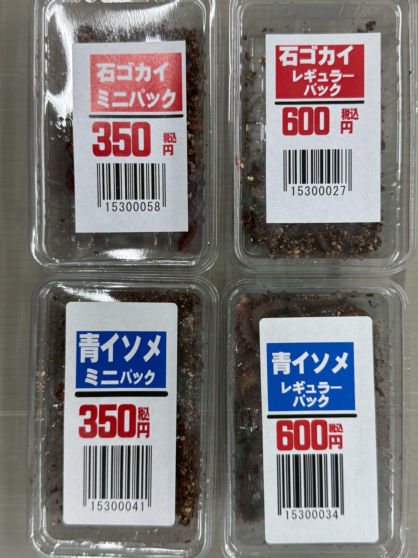 秋の釣りシーンにおすすめの組み合わせ・堤防のサビキ釣り＋青イソメ＝夜のアジ・メバル狙い・砂浜のちょい投げ＋石ゴカイ＝シロギス・ベラ狙い・磯場のウキ釣り＋青イソメ＝チヌ・グレに対応.釣太郎