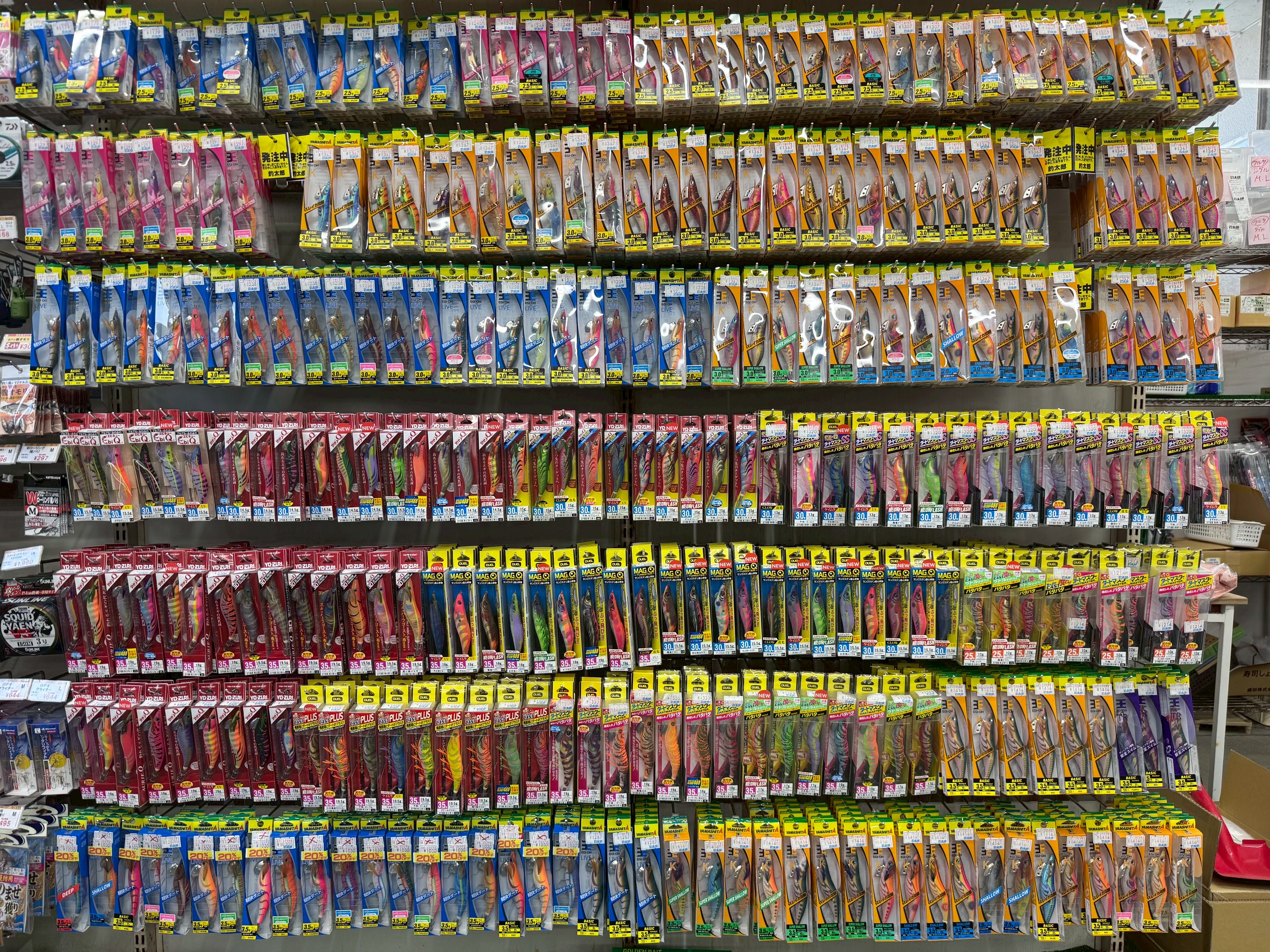 2025年はアオリイカが豊漁傾向。南紀全域で好釣果。エギは今が買い時。初心者にも絶好のシーズン。釣太郎