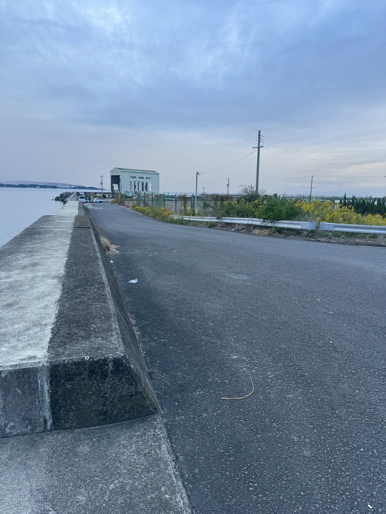 みなべ店前グランド横、工事終了しました！【南紀のアオリイカ釣り場紹介】釣太郎