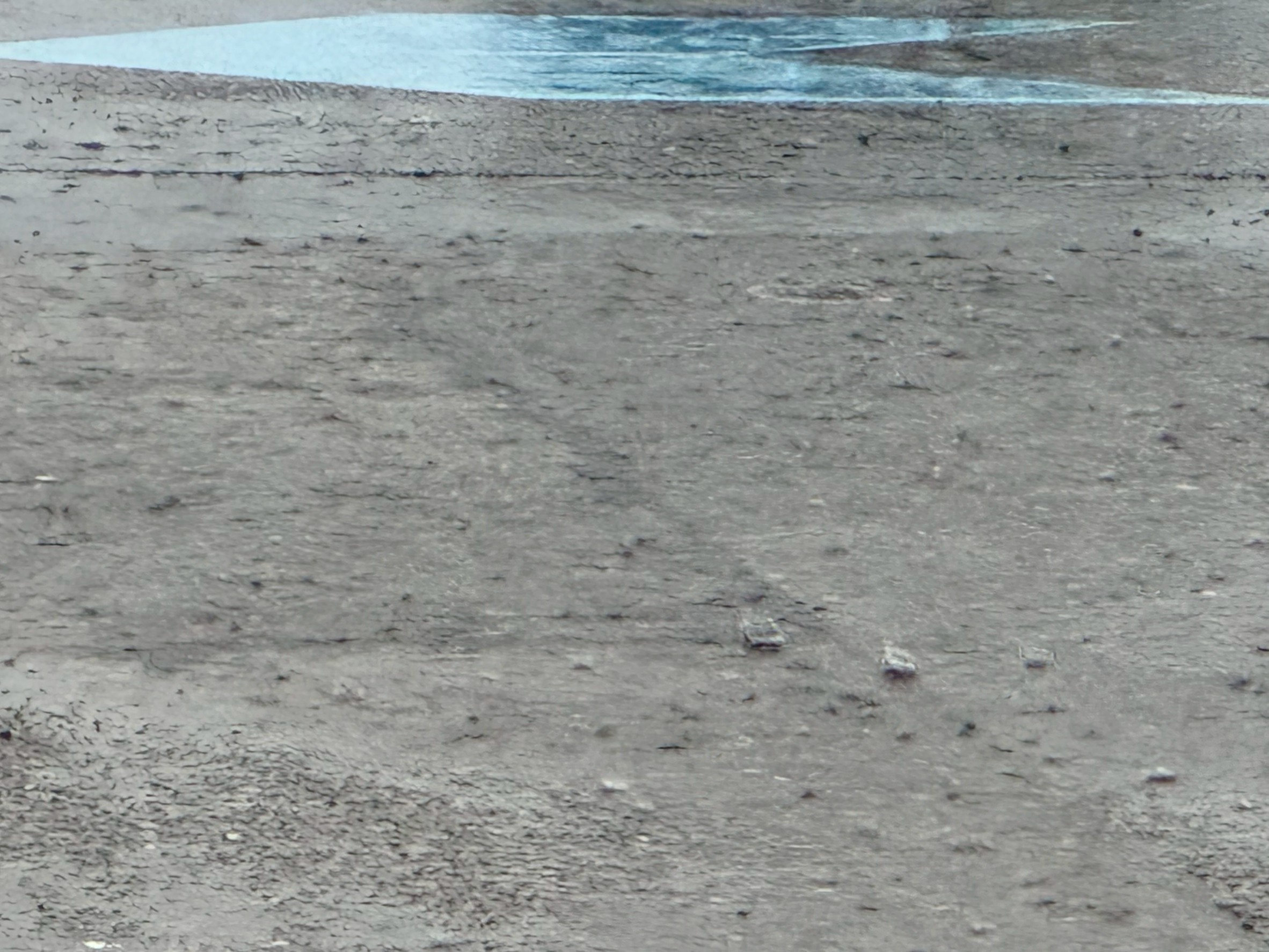 久しぶりにまとまった雨が降り続いています。10月31日金曜日午後。釣太郎