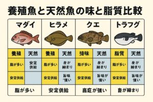 養殖と天然で一番味の差が出る魚は ヒラメとクエ。天然は身がしまっており、特に冬季は別格。 コスパが良いのは 養殖。マダイやヒラメは価格差が少なく、安定供給されます。釣太郎