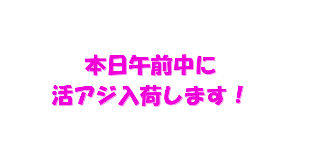 本日午前中に、アオリイカ釣り用活アジ入荷します！釣太郎
