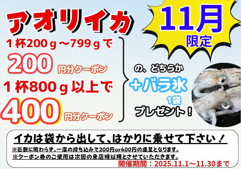 11月のアオリイカ持ち込みクーポンのご紹介！これからが本格的釣りシーズンです！釣太郎