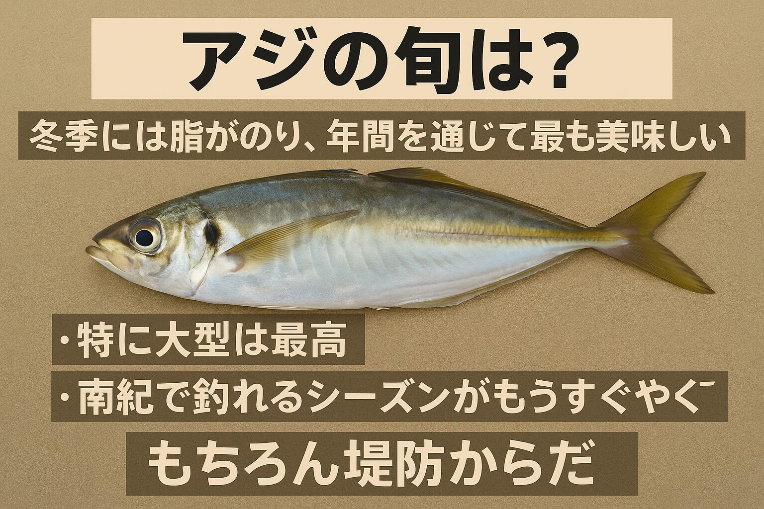 アジの本当の旬は「冬」。南紀地方では堤防から狙える大型寒アジシーズンが間もなく始まる。脂乗り抜群で、まさに味のピーク。釣太郎