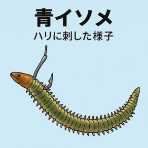 青イソメは匂い＋動き＋自然さが冬季のアジに最適・低活性時ほど刺しエサの有無が釣果差に直結・夜間と尺アジ狙いでは特に優勢。釣太郎