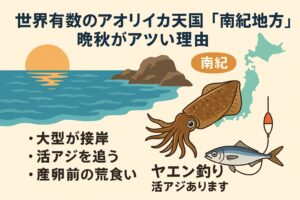 南紀地方は世界的アオリイカ実績場・晩秋は「荒食いシーズン」で特大型狙いに最適・水温低下前後は捕食強化 ・活アジ使用が最重要（疑似餌より圧倒的優勢）釣太郎