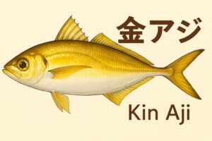 金アジとは 「居着き型で脂が乗ったマアジ」 のこと・魚種としては普通のアジだが、環境と回遊性の違いにより食味が別格・銀色の回遊アジよりも 金色〜黄色がかった体色 を持つ。釣太郎