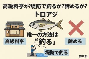 寒尺アジ（トロアジ）は、スーパーには絶対に並びません。入手できるのは、🌊冬の南紀で堤防釣りをするか🍶高級料亭で運よく出会えるか。釣太郎