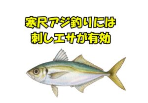 南紀の冬季名物、堤防寒尺アジ釣りはさしエサが有効。釣太郎