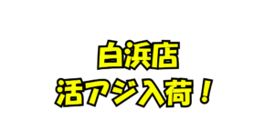 お待たせ致しました。釣太郎白浜店、活アジ入荷しました！