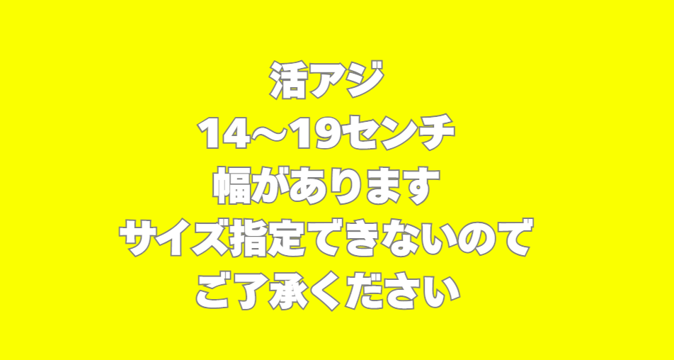 アオリイカ釣用活アジ、サイズ指定はできません。ご了承ください。釣太郎