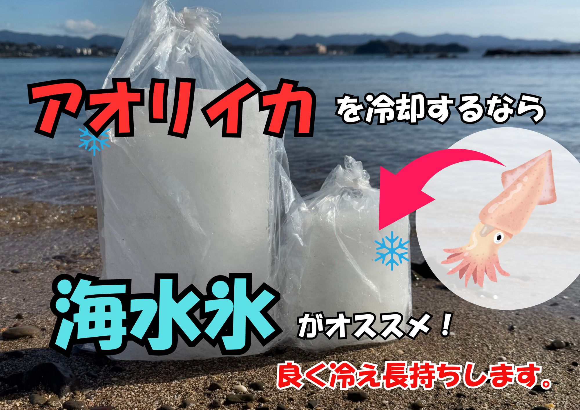 アオリイカの冷却は海水氷が最適 理由は以下の通り。真水で身が白濁するのを防げる。急冷しすぎず、身質を保てる。墨や汚れを自然に洗い流せる。釣太郎