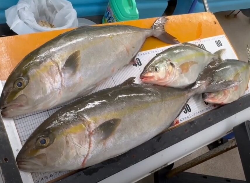 釣り魚、鮮魚をクール宅急便で送る方法紹介。釣太郎