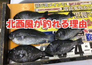 南紀の寒グレ釣りにおいて、北西風は敵ではなく「最強の味方」釣太郎