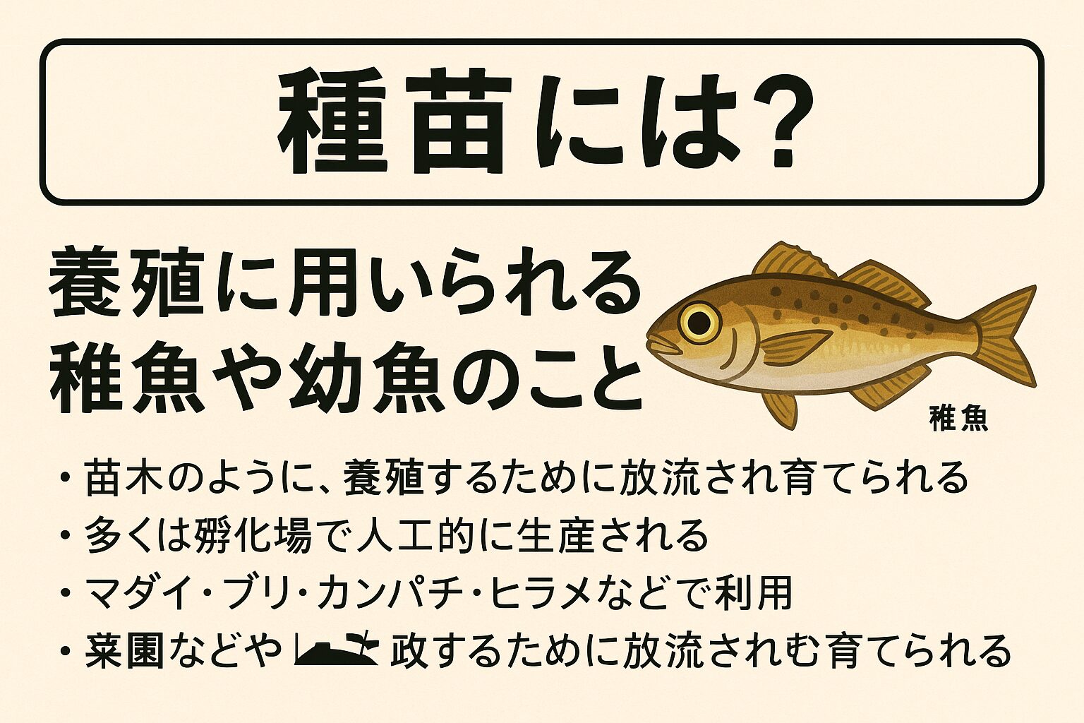 種苗とは、養殖に使用される稚魚や幼魚のこと。植物でいう苗木のような存在であり、養殖業の出発点です。釣太郎