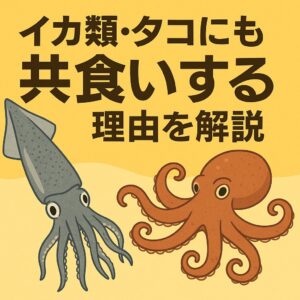 アオリイカは共食いをする・ほぼすべてのイカ類に共食いの可能性あり・タコも同様に共食いする・原因は「生存戦略」「栄養確保」「縄張り」釣太郎