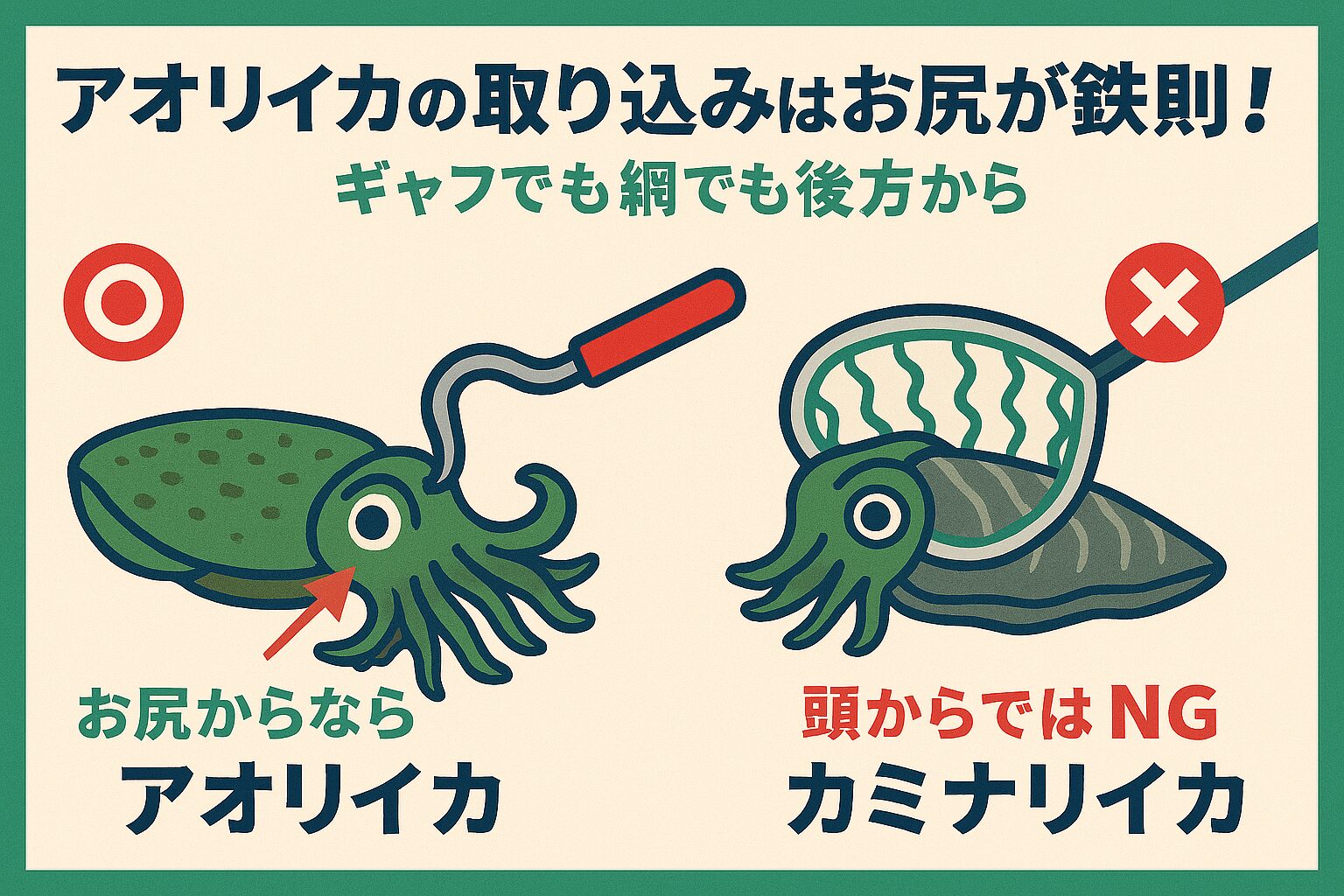 アオリイカがアジをしっかり抱えて動きが止まったら、後方から静かにギャフを差し込む。網の場合も、イカの後方に回り込んでからすくうことで、逃げられるリスクを最小限に。釣太郎