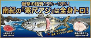 南紀の「寒尺アジ」は、単に大きいだけではありません。脂質15％超えという、全国屈指のポテンシャルを秘めた「泳ぐトロ」釣太郎