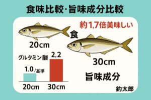 尺アジは20センチアジと脂質が約3〜4倍違い、食味評価は1.7倍美味しい。釣太郎