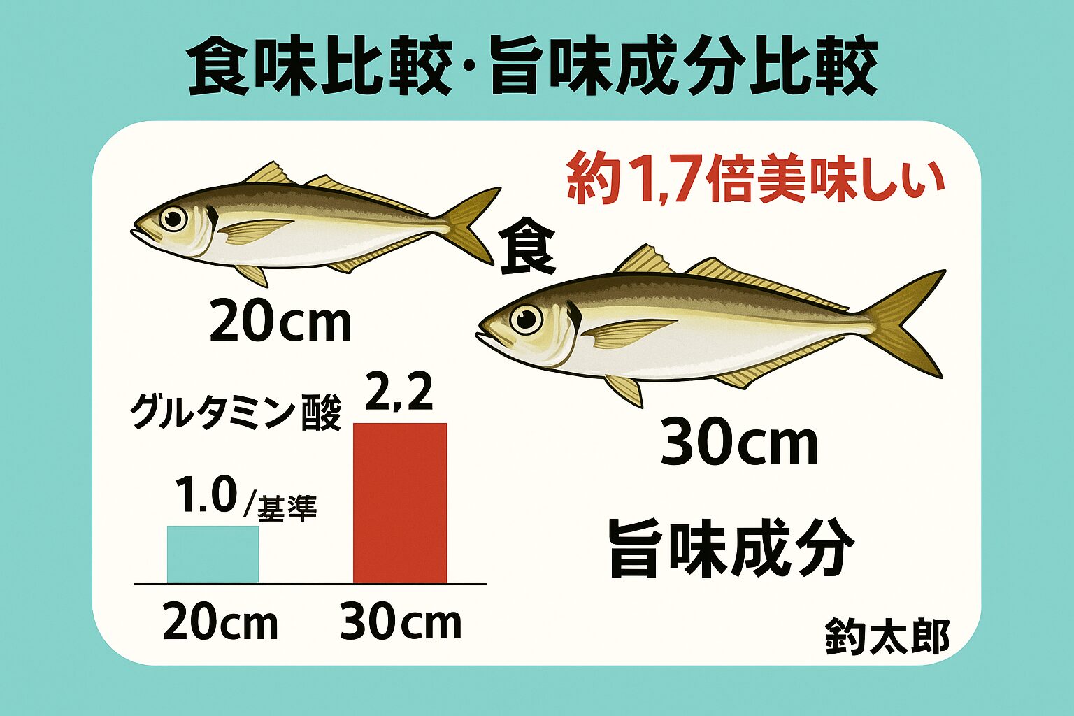 尺アジは20センチアジと脂質が約3〜4倍違い、食味評価は1.7倍美味しい。釣太郎