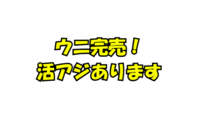 ウニ完売。活アジあります。釣太郎