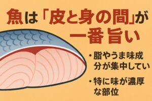科学的に見ても、最も美味しいのは、皮と身の間の旨味層です。釣太郎