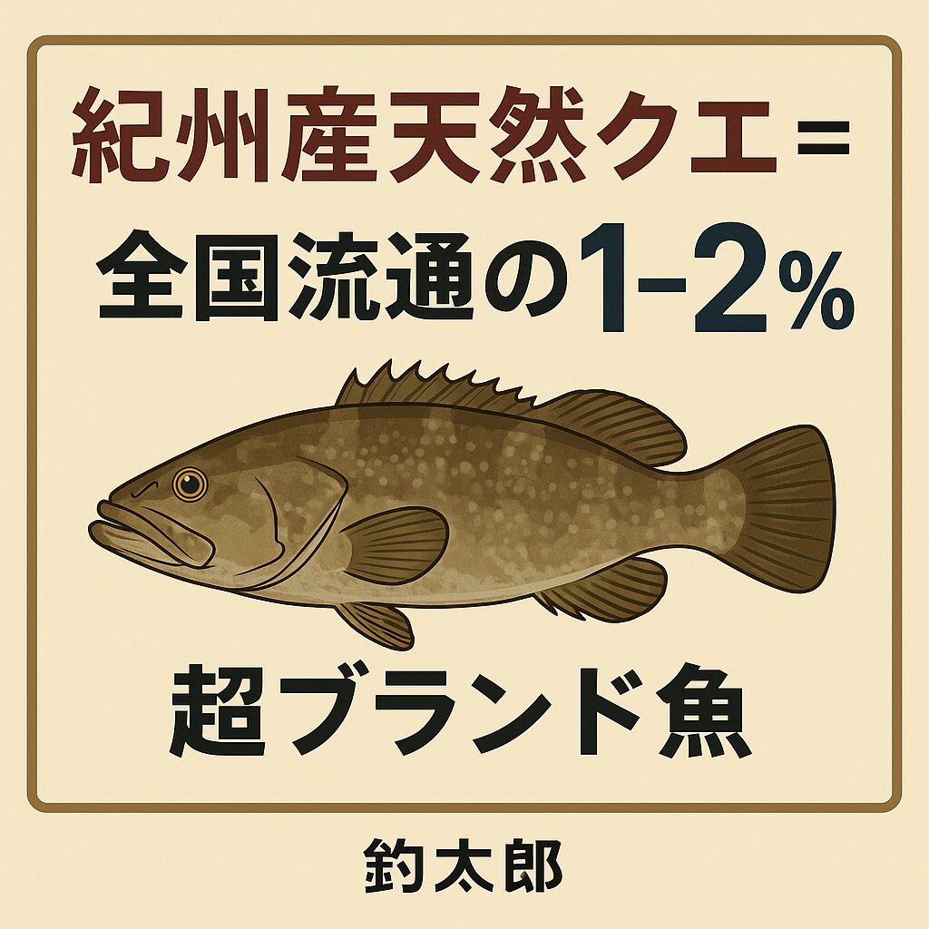 紀州産天然クエの市場流通割合は 全国の1〜2%程度。市場で見るクエの 9割以上は養殖 ・天然はほとんどが 冷凍で70%以上・活魚で流通する天然クエは 超高級店・地元料理のみ。釣太郎