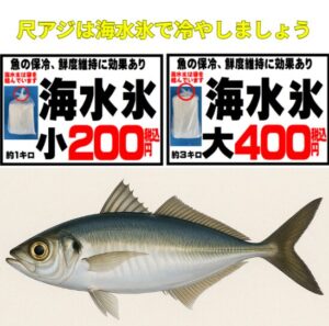 尺アジ冷却は、真水ＮＧ！ 海水氷で瞬殺！」釣太郎