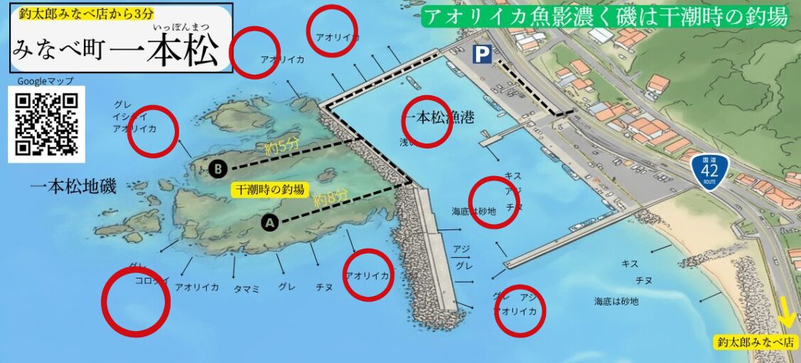 言わずと知れた最高級アオリか釣り場ポイント、みなべ堺一本松。釣太郎