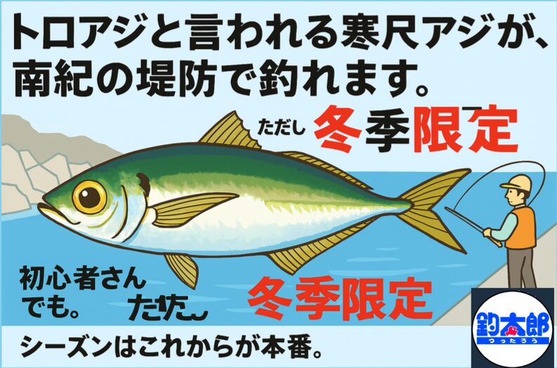 南紀の堤防で釣れる寒尺アジ！初心者でも狙える冬限定のトロ級アジ。釣太郎