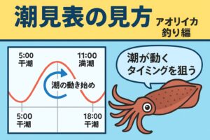 潮見表を味方にすればアオリイカ釣りは劇的に上達する。釣太郎