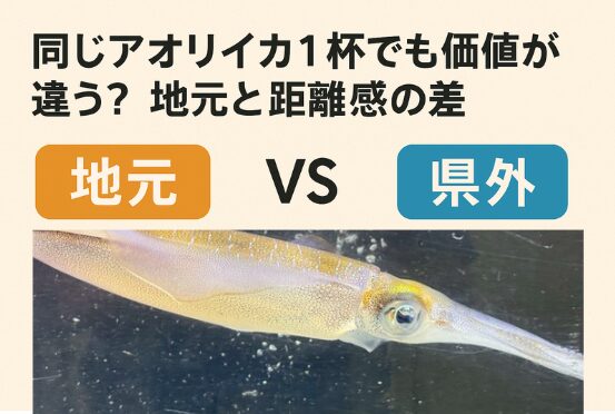 同じアオリイカ1杯でも価値が違う？地元釣り人と県外アングラー。釣太郎