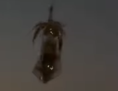 水温22度に入り、南紀のアオリイカ釣り絶好調。11月16日日曜日釣太郎