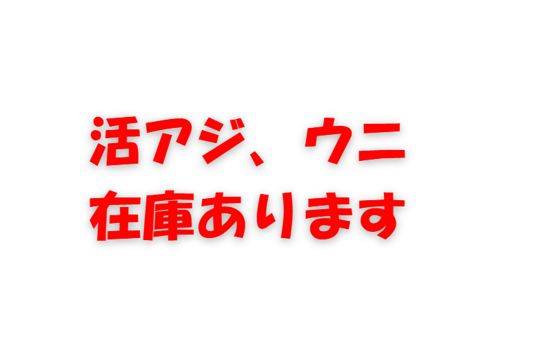 活アジ、ウニ、在庫あります。週末は釣り日和ですよ！釣太郎