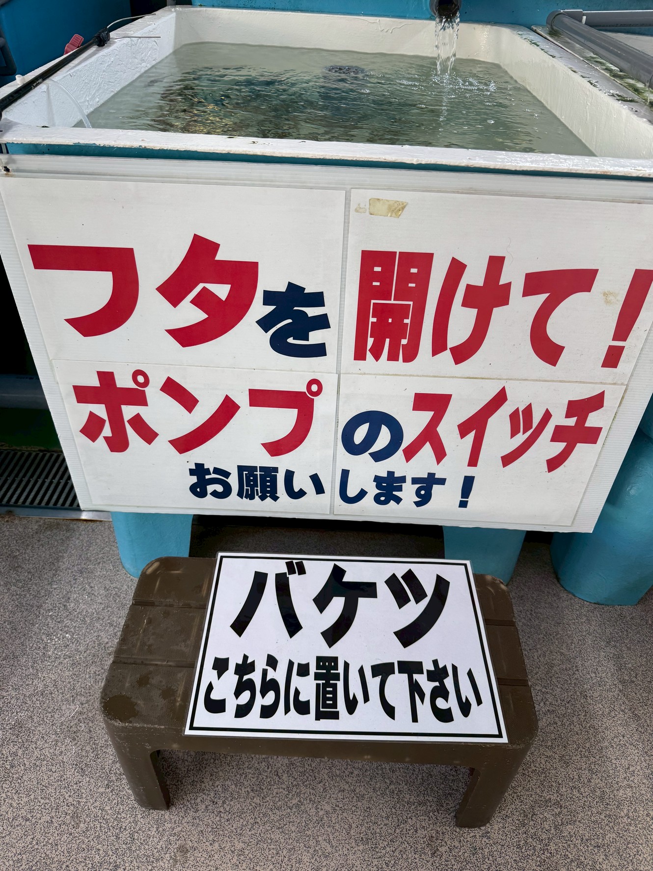 アオリイカ釣り好調の南紀地方。活アジ購入時は、フタを開けてポンプのスイッチをご自身でお願いしています。釣太郎