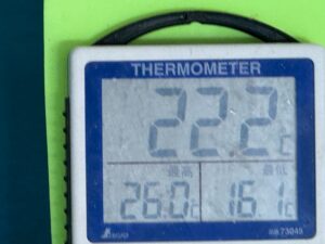 みなべ店水槽水温は22.2度。11月19日水曜日。釣太郎