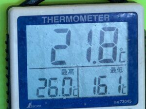 アオリイカ、グレ釣りに最適な水温になっています。11月23日日曜日勤労感謝の日。釣太郎