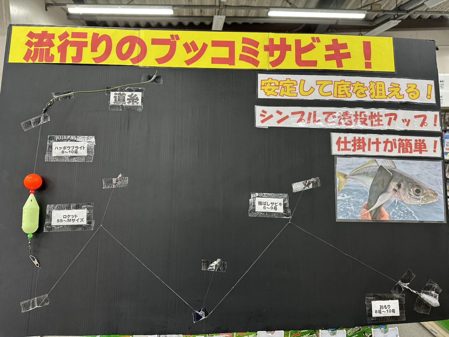 南紀の冬季は船に乗らなくても、尺アジが堤防から釣れます。釣太郎