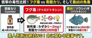 フグの毒は、人間が作った化学薬品よりも遥かに強力。強さは青酸カリの約1000倍。さらに強い「パリトキシン」を持つ魚（ソウシハギ等）も。釣太郎