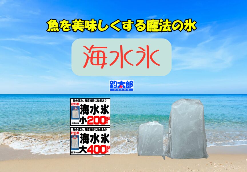 次回の釣行は「海水氷」で決まり！「釣った魚を家族に『美味しい！』と言わせたい」 「お店で食べるような鮮度で持ち帰りたい」そう願うなら、氷を変えるのが一番の近道。釣太郎