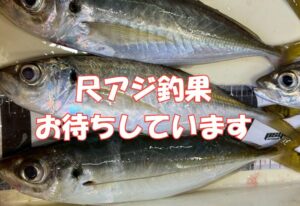30センチ尺アジ釣果お待ちしてます。クーポン券サービス。バラ氷も。釣太郎