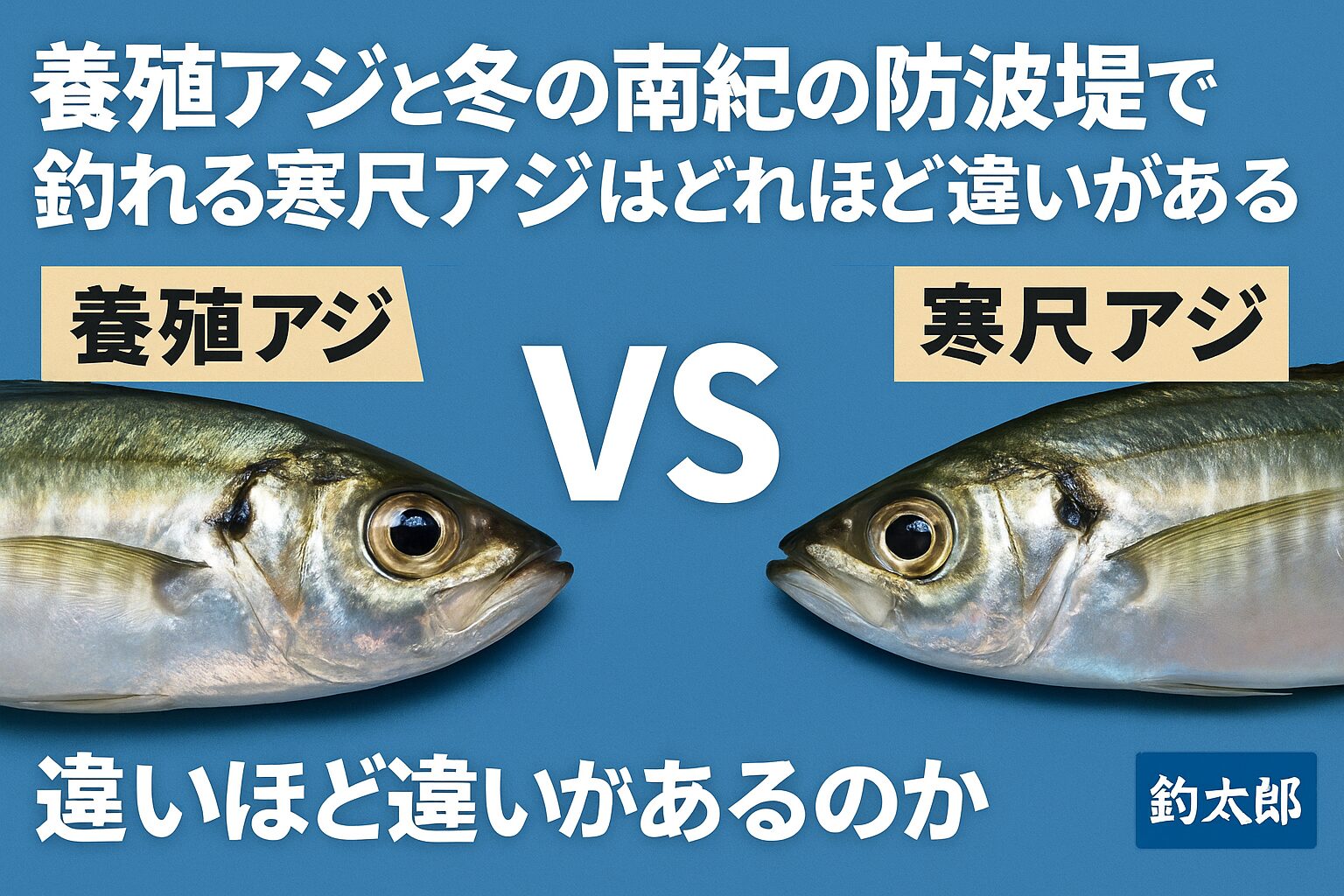 冬の南紀の寒尺アジは“天然脂の塊”養殖アジとは全くの別ジャンル・脂の質が根本から違う・口どけの軽さが段違い・身の締まりが圧倒的・香りが豊かで余韻が長い・栄養価が高く体に良い。釣太郎